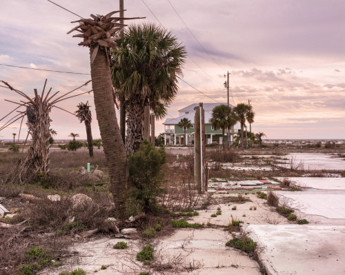 
     <i>Empty lots, Mexico Beach (from the Floridas series)</i>, 
     2021<br />
     Archival pigment print, 
      127 x 100 cm<br />
     