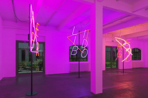 
     <i>Installation view, Kunsthalle St. Gallen, St. Gallen, Switzerland, 2013</i>, 
     <br />
      
     <br />
     