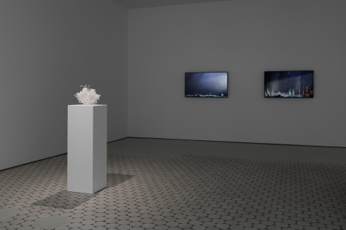 
      
     2019-2020<br />
     Installation view, 'Enclosed Natures' exhibition at Wentrup, 
     <br />
     Photo credit: Trevor Good