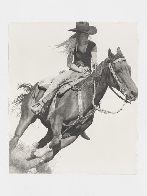 
     <i>Rodeo</i>, 
     2016<br />
     pencil on paper, 
      262 x 224 cm<br />
     