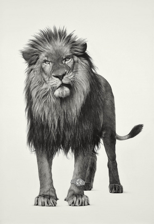 
     <i>Lion 3</i>, 
     2019<br />
     pencil and ink on paper, 
      193 x 130 cm<br />
     