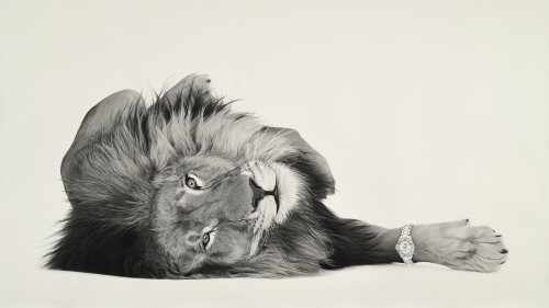 
     <i>Lion 8</i>, 
     2020<br />
     pencil on paper, 
      130 x 235 cm<br />
     