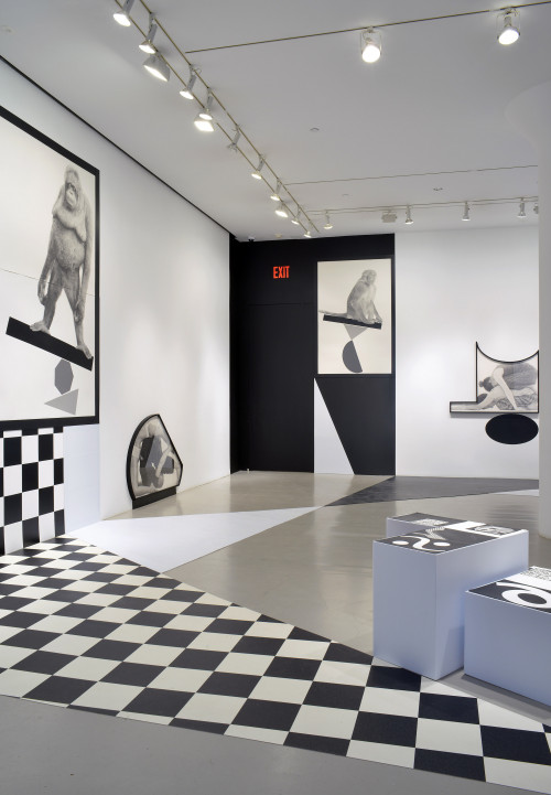
      
     <br />
      
     <br />
     Installation view, Biennial of the Americas, 2015
