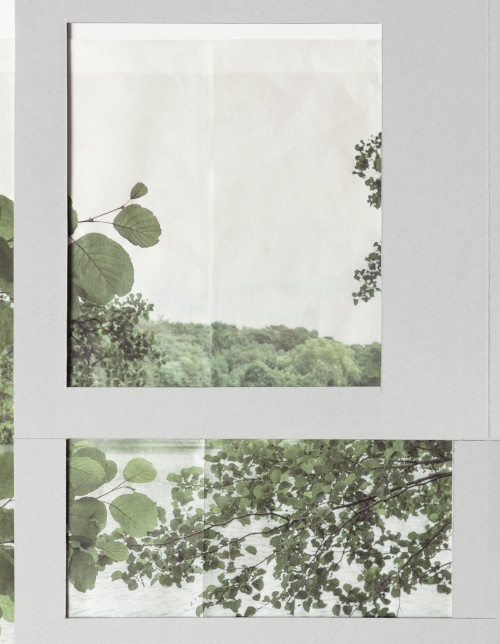 
     <i>Simile</i>, 
     2019<br />
     Wallpaper print, 
      85 x 66 cm<br />
     