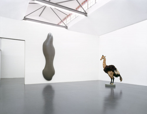 
     <i>Gummi, 1994 & misfit</i>, 
     2000<br />
      
     <br />
     Installation view Galerie Philomene Magers, Munich, Germany, 2000
