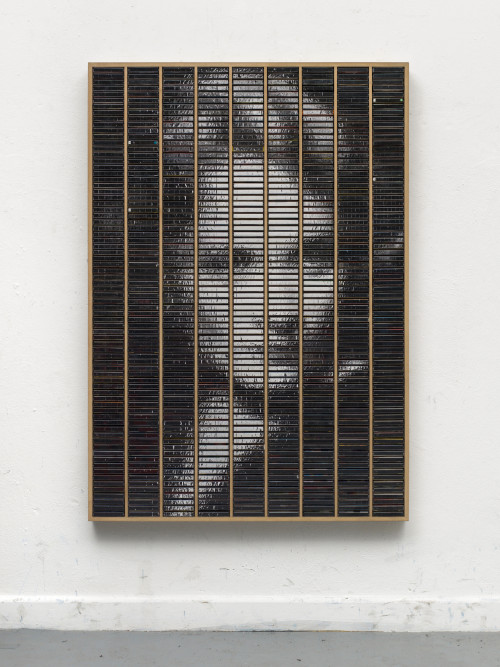 
     <i>Marlene gespiegelt im Kasten</i>, 
     2015<br />
     ink jet print, inlays and plastic boxes in wooden case, 
      160 x 112 cm<br />
     