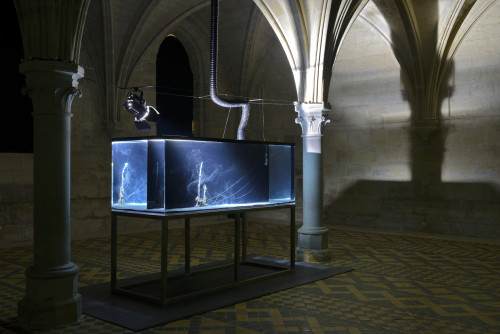 
     <i>Masse et Martyr</i>, 
     2017<br />
      
     <br />
     Exhibition view, L’abbaye de Maubuisson, Saint-Ouen l’Aumône, France, 2017