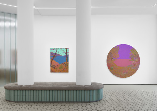 
      
     <br />
      
     <br />
     Exhibition view John McAllister - adrift gleaming serenest rustling air, Wentrup, Berlin, DE, 2020