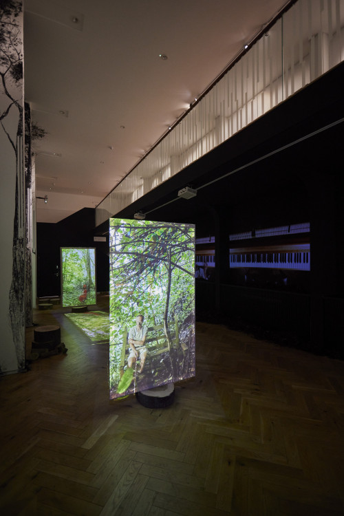 
      
     <br />
      
     <br />
     Exhibition view Phoebe Boswell -  A Tree Says (In These Boughs The World Rustles), Orleans House, Twickenham, 2023