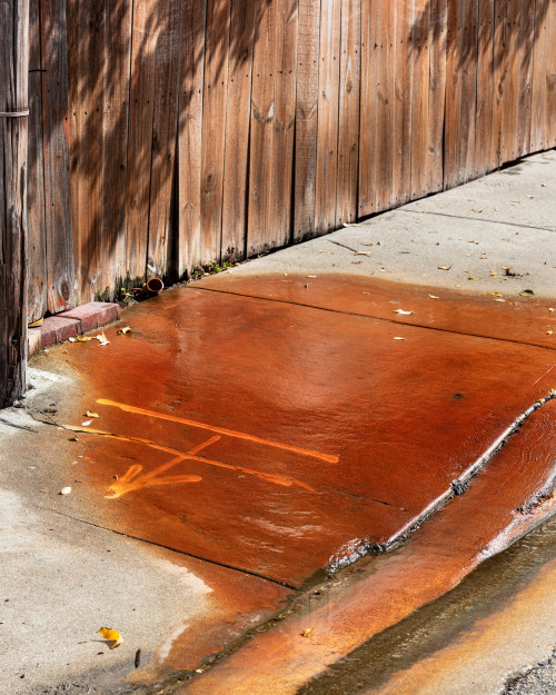ANASTASIA SAMOYLOVA<br /><i>Rust, Hollywood (from the Floridas series)</i>, 2019<br />Archival pigment print, mounted, framed, 100 x 80 cm | 39 1/4 x 31 1/2 in<br />