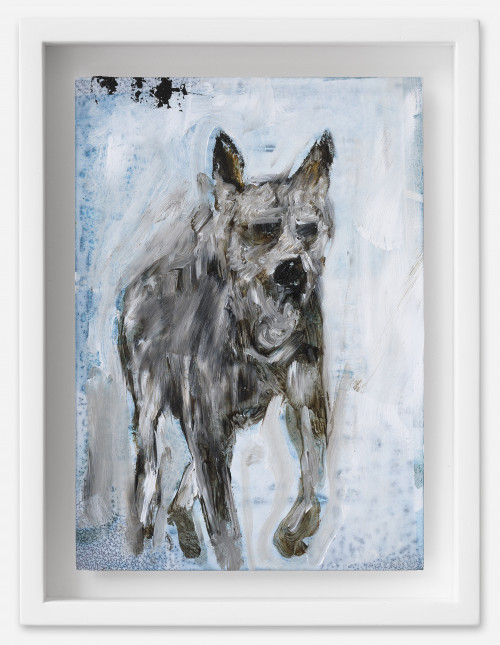 <i>Hund</i>, 2021<br />oil on postcard, 18 x 13,5 cm (framed)<br />