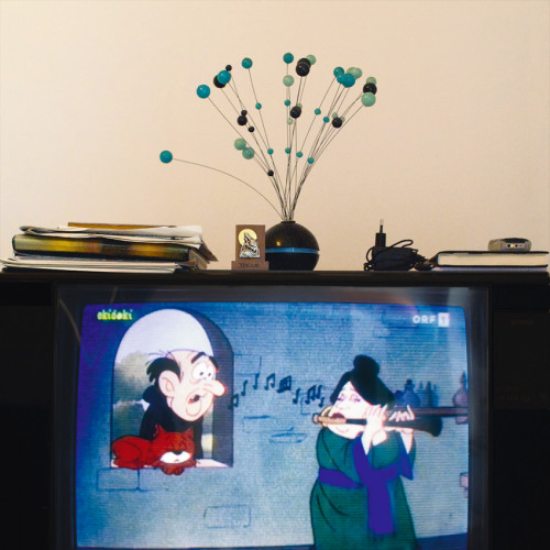 <i>Die Welt im Wohnzimmer: Das Fernsehgerät als Sockel und Hausaltar (The World at Home. The TV as plinth and house altar)</i>, 2001/2009<br />Series of 50 color photographies, 52 x 52 cm<br />
