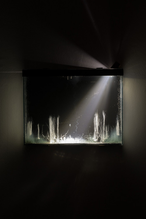 <i>Tranche, présage</i>, 2014<br />chemical evolution slowed landscapes in glass tank, 37 x 28 x 5 cm<br />