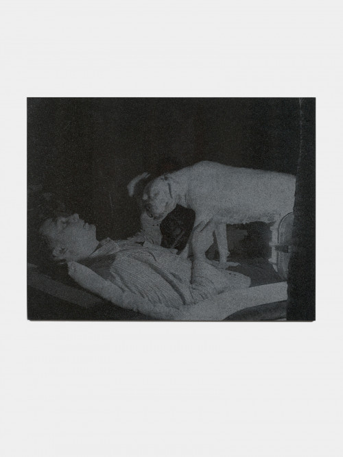 <i>Selbstportrait mit Diabola</i>, 2013<br />laser gravure on granite, 92 x 119 cm<br />
