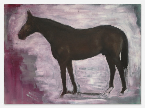 <i>Stallion</i>, 2023<br />Oil on canvas, 80 x 110 cm<br />