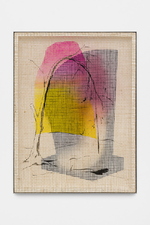 DAVID RENGGLI<br /><i>Desire / Painting / Nature (5)</i>, 2016<br />silk-screen print, acrylic on wood, jute net in aluminium shadow gap frame, 108 x 82 cm<br />