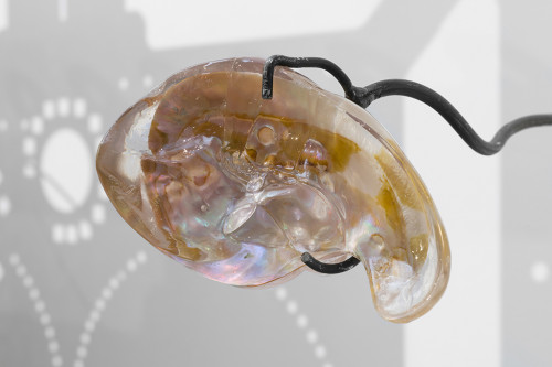 <i>Liver (fossil / pearl shell)</i>, 2018<br />pearl shell, resin, 25 x 15 x 10 cm<br />
