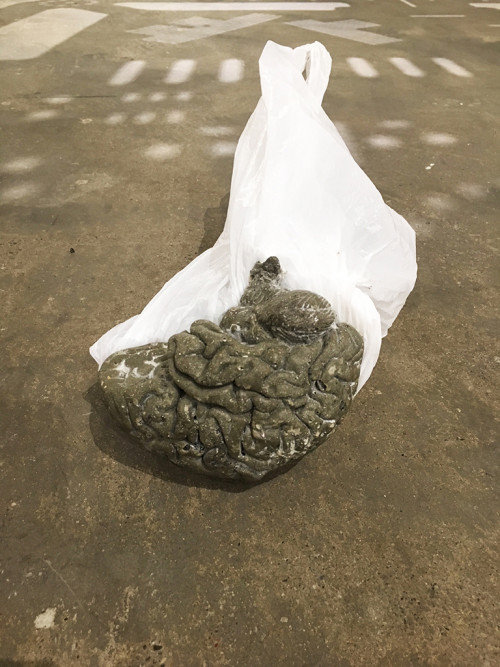 <i>Brain (soil sample / Tüte)</i>, 2018<br />cement, leaves, plastic bag, resin, 13 x 13 x 15.5 cm<br />
