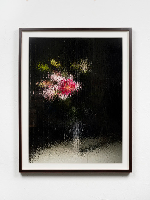 GREGOR HILDEBRANDT<br /><i>Blumenruf</i>, 2020<br />Digital pigment print mounted on aluminum, 84 x 63 cm<br />