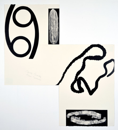 <i>Cancer Cucumber, Bacon Tapeworm</i>, 2014<br />pencil and enamel on paper (folded), 85 x 76 cm<br />