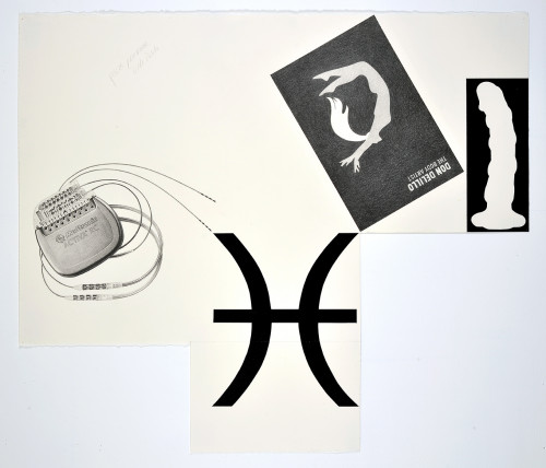 <i>Pisces Pacemaker, Dildo Delillo</i>, 2014<br />pencil and enamel on paper (folded), 88 x 102 cm<br />